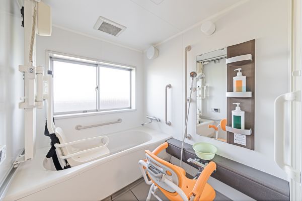 Senior Bathroom Renovation in Zionsville
